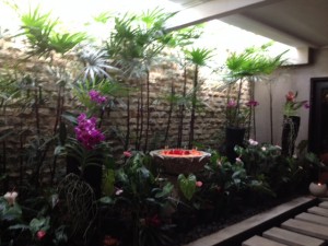 Pure Fiji Resort garden